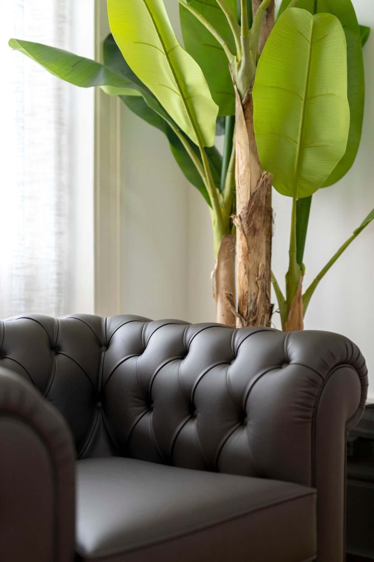 Pormenor de cadeirão de pele em tom escuro com estofos capitonê próximo a planta natural num projeto de interiores.