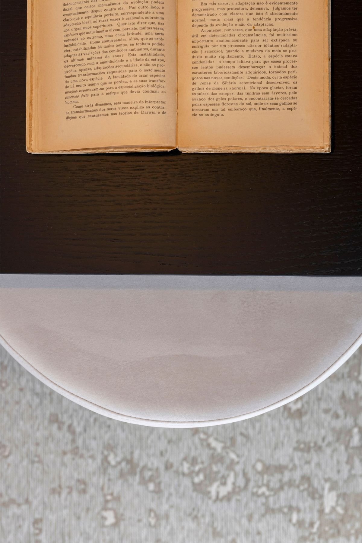 Livro antigo aberto sobre banco estofado claro em plano aproximado, integrando a decoração de quarto.
